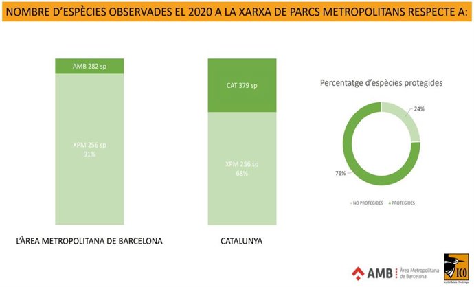 Informe ornitolgic de l'AMB i l'ICO