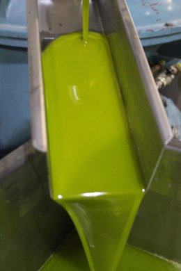Archivo - Producción de aceite de oliva.