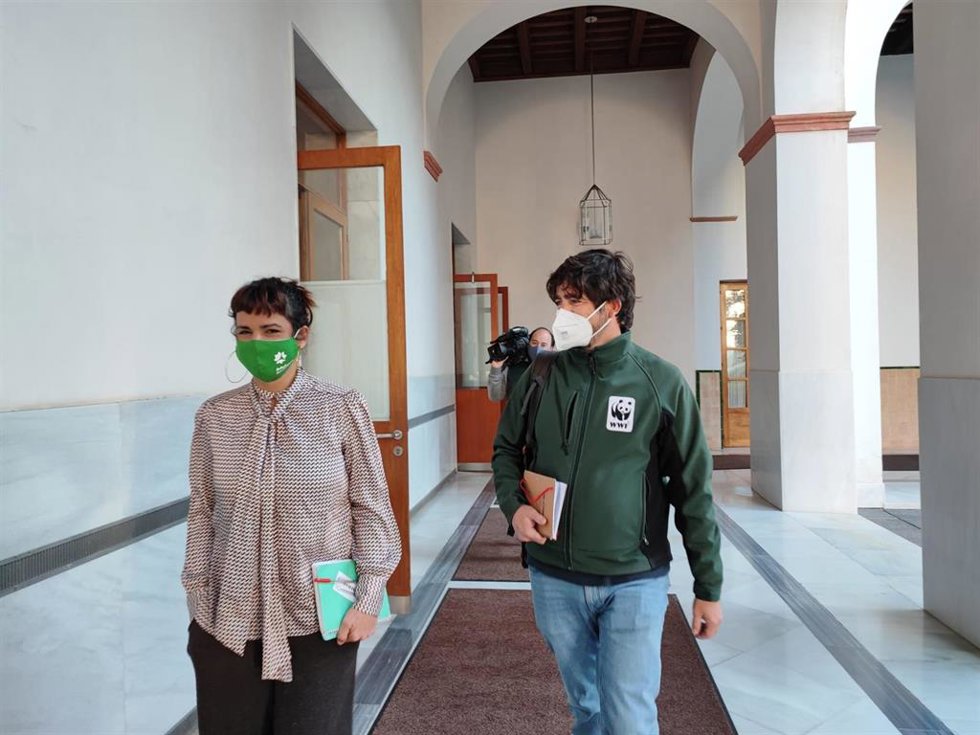 La diputada autonómica y portavoz de Adelante Andalucía, Teresa Rodríguez, y el representante de WWF Felipe Fueltelsaz, este miércoles en el Parlamento andaluz.