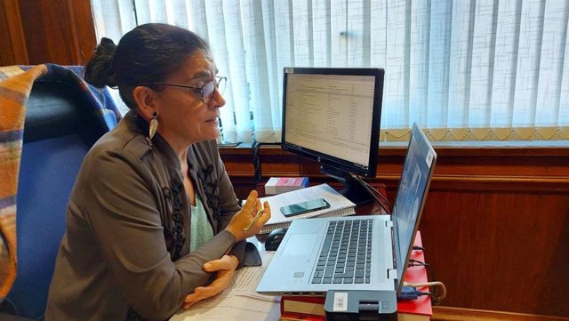 La gerente del Sespa, Concepción Saavedra.