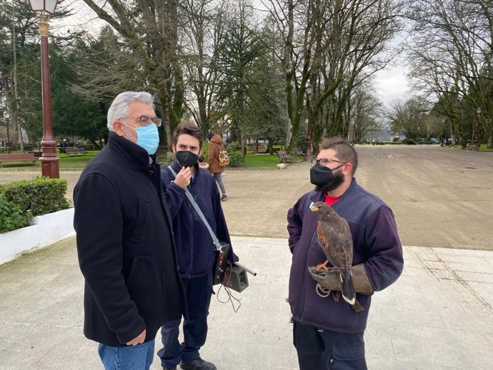 Control de estorninos en Lugo