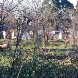 Desmantelado un pequeño poblado chabolista en el que se vendía y consumía droga en Villaverde