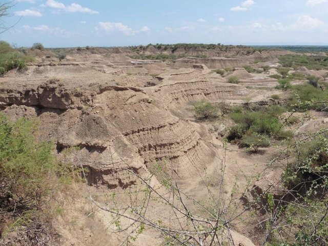 La remota Formación Kibish, en el sur de Etiopía, presenta depósitos en capas de más de 300 pies de espesor que han conservado muchas herramientas y restos humanos antiguos.