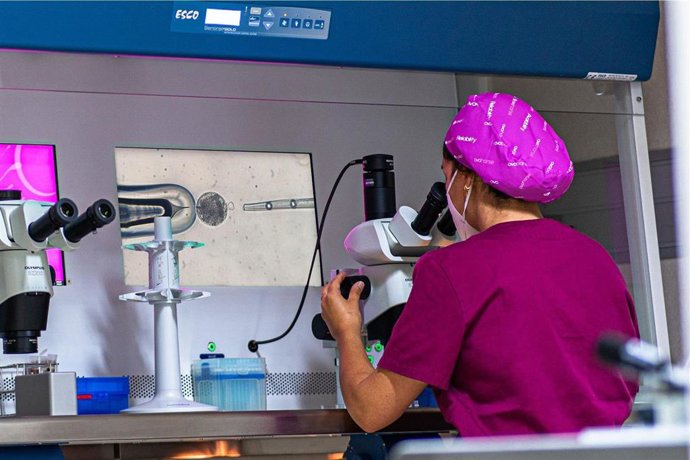 Reproducción asistida equina - Ovohorse