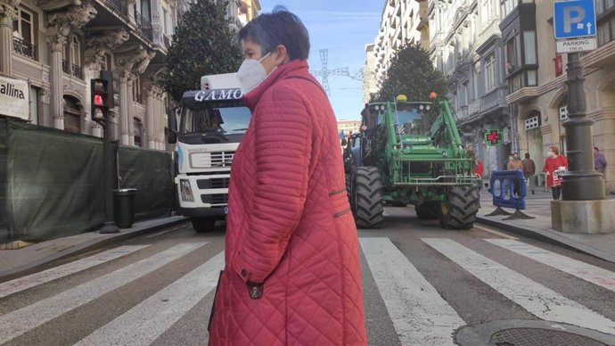 Manifestación convocada por Asturias Ganadera en Oviedo