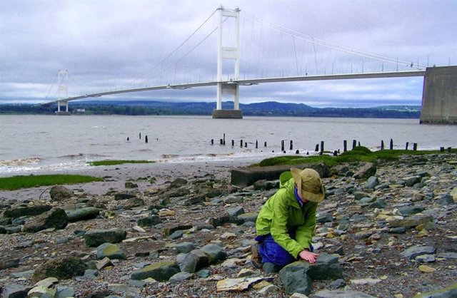 Los sitios de estudio incluyeron el río Severn, directamente aguas abajo de Birmingham, Inglaterra.