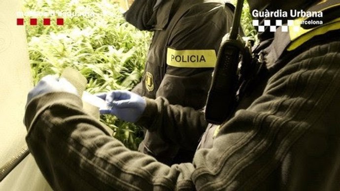 Equip conjunt de la Gurdia Urbana i els Mossos d'Esquadra durant l'operatiu
