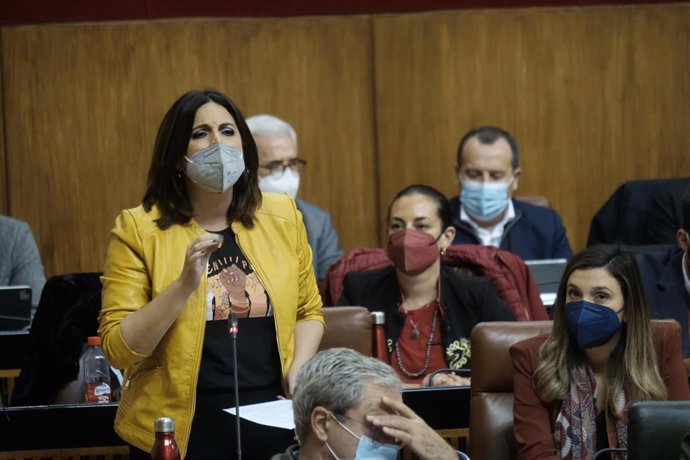  Férriz en una sesión de control al Gobierno andaluz.