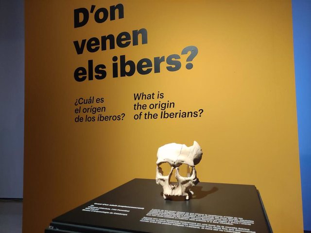 Restos de un cráneo íbero en la exposición 'L'Enigma iber. Arqueologia d'una civilització' del Museu d'Arqueologia de Catalunya (MAC)