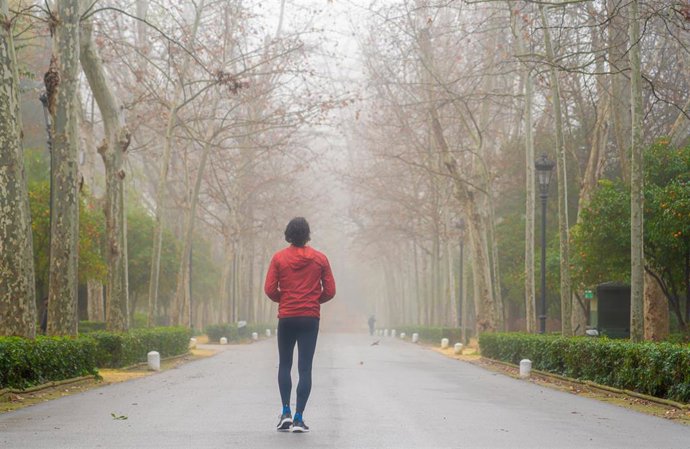 Archivo - El parque de María Luisa una mañana nublada