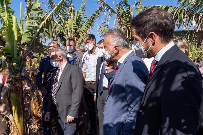 El comisario europeo de Agricultura, Janusz Wojciechowski y el presidente de Canarias, entre otros, en una visita a una finca de plátanos en La Palma