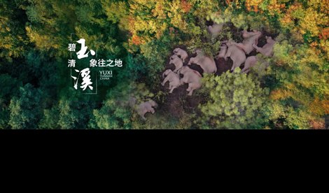 Comunicados Internacional