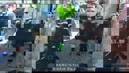 Rescatados en Sevilla dos ponis, un burro enano y cuatro gallos de pelea en una vivienda de Torreblanca