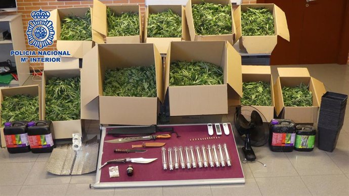 La Policía Nacional desmantela una plantación indoor de marihuana en un chalet de lujo del distrito de Hortaleza