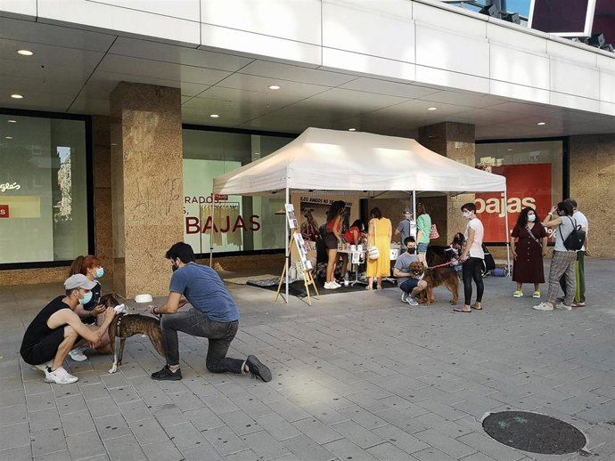 Jornada previa de adopción de perros a las puertas de El Corte Inglés de Salamanca.