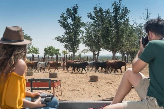 Turismo de Salamanca