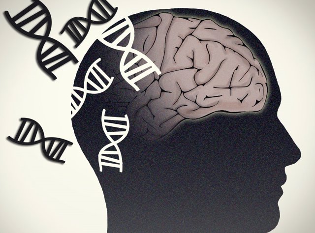Archivo - Alzheimer, Parkinson. Cerebro y genética.