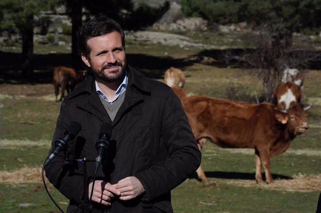 El líder del PP, Pablo Casado, visita una explotación ganadera extensiva de vacuno en Navas del Marqués (Ávila), el 14 de enero de 2022.