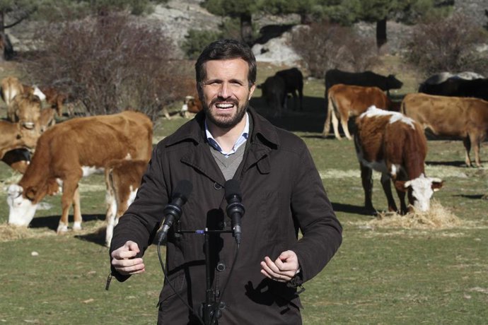 El presidente del PP, Pablo Casado, ofrece declaraciones a los medios, durante su visita a una explotación ganadera extensiva de vacuno en Navas del Marqués, a 14 de enero de 2022, en Navas del Marqués, Ávila, Castilla y León (España).