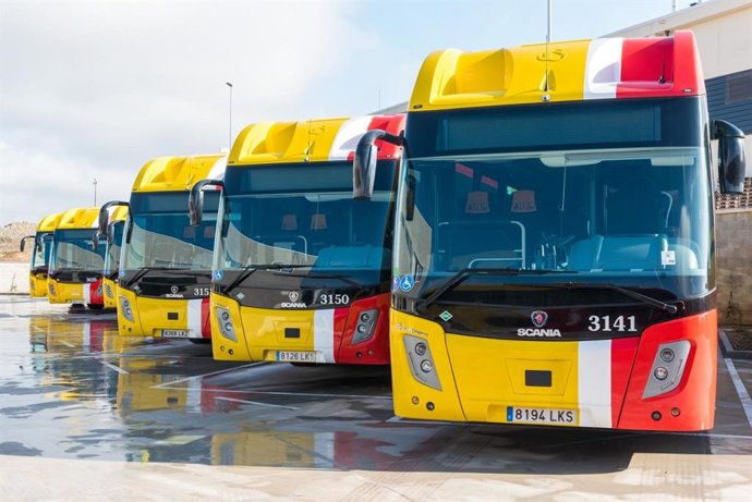 Varios autobuses TIB.