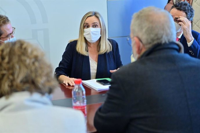 Archivo - La consejera de Fomento, Infraestructuras y Ordenación del Territorio, Marifrán Carazo, en imagen de archivo