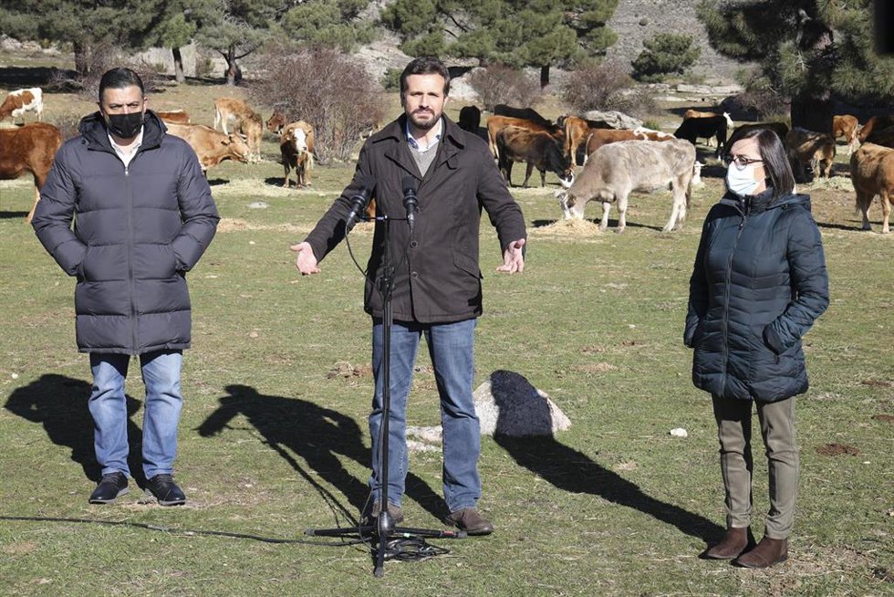 El presidente del PP, Pablo Casado, ofrece declaraciones a los medios, durante su visita a una explotación ganadera extensiva de vacuno en Navas del Marqués, a 14 de enero de 2022, en Navas del Marqués, Ávila, Castilla y León (España). 