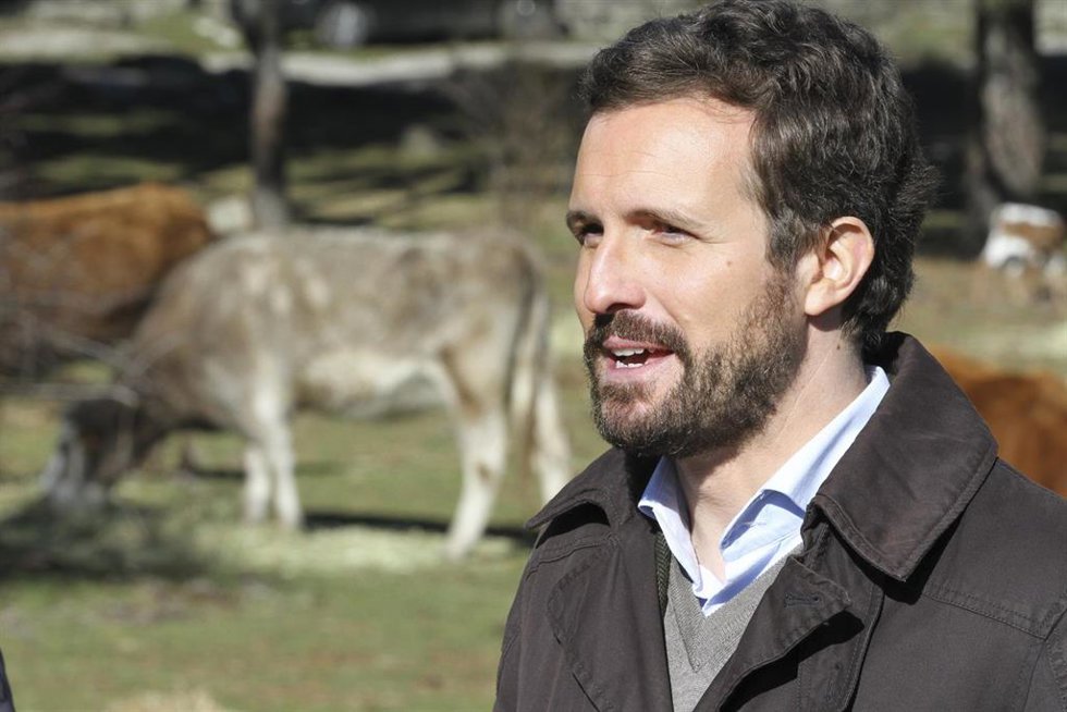 El presidente del PP, Pablo Casado, ofrece declaraciones a los medios, durante su visita a una explotación ganadera extensiva de vacuno en Navas del Marqués, a 14 de enero de 2022, en Navas del Marqués, Ávila, Castilla y León (España). 