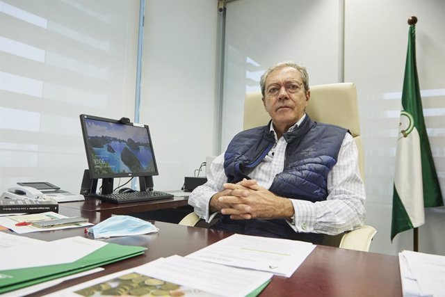 El consejero de Transformación Económica, Industria, Conocimiento y Universidades, Rogelio Velasco.