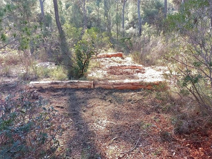'Feixines' Instaladas En El Bosque De Bellver Para Evitar La Degradación Del Suelo.