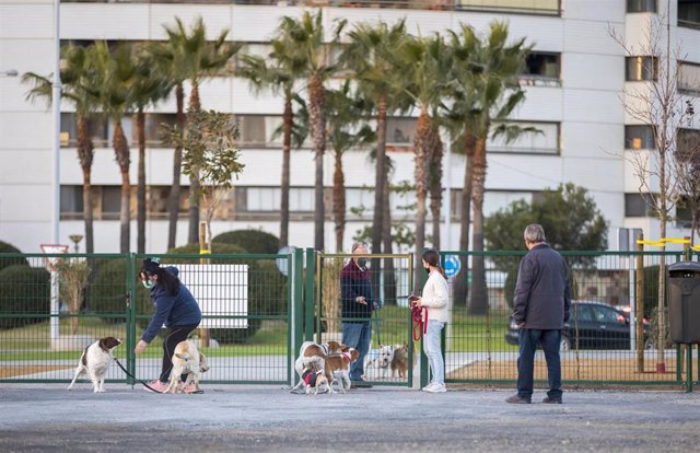 Nuevo parque para mascotas en Pescadería, en Huelva.