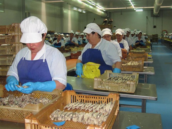 Archivo - Trabajadoras en una planta conservera de Isla Cristina. 