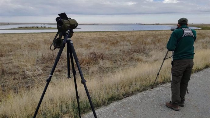 Observación aves acuáticas en humedales de Castilla y León.