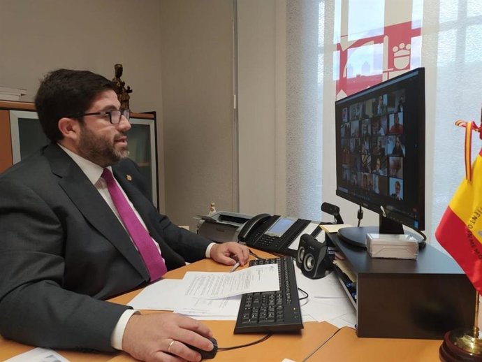 El alcalde de Ávila, Jesús Manuel Sánchez Cabrera, en un pleno telemático.