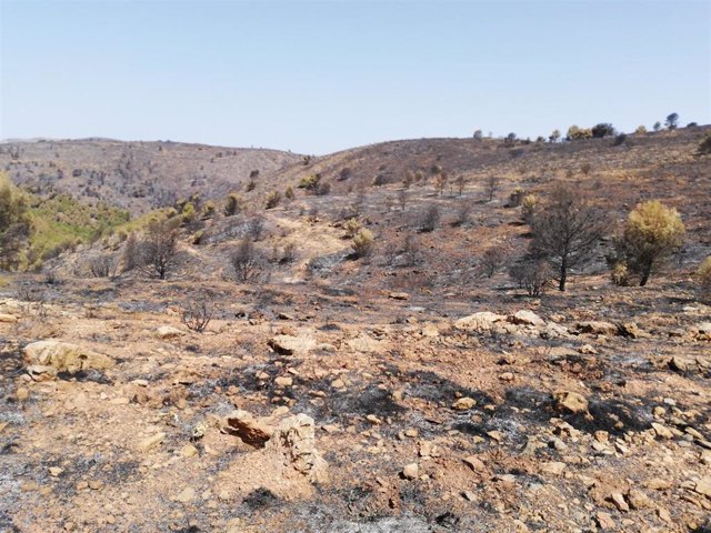Archivo - Sierra de Terque (Almería) tras la extinción del incendio forestal