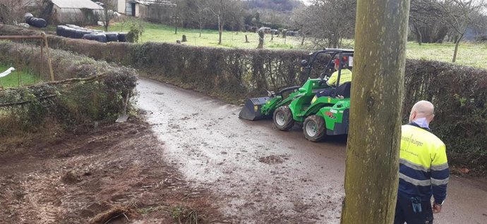 Trabajos de la brigada de Medio Rural