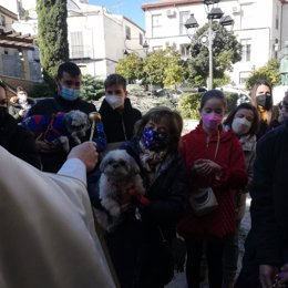 Las mascotas acuden a la tradicional bendición ante San Antón