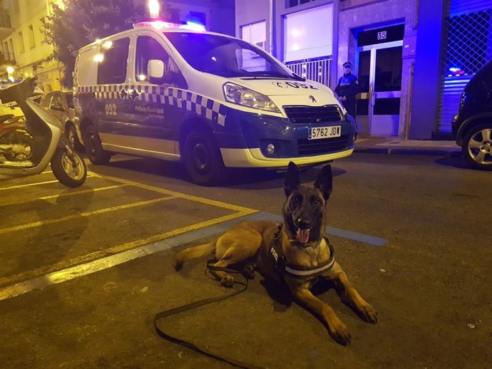 Equipo canino de la Policía Municipal de Pamplona.
