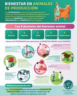 Los veterinarios piden sacar el bienestar animal del debate político e ideológico y defienden la buena calidad de las granjas españoles.