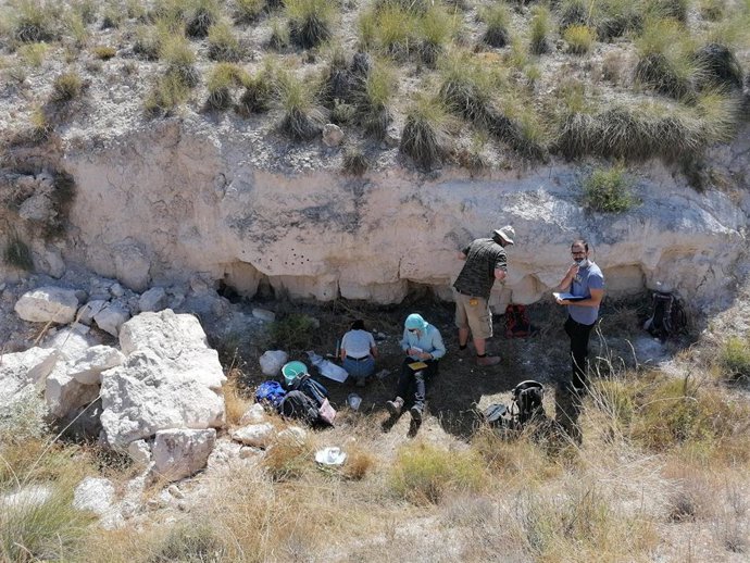 Excavación en Orce