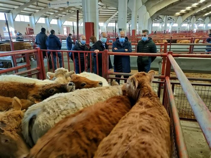 Visita de los candidatos de Ciudadanos a la Lonja de Salamanca.