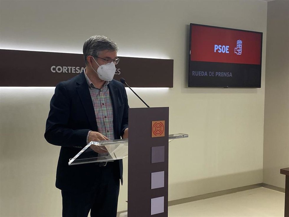 El portavoz del PSOE, Vicente Guillén.