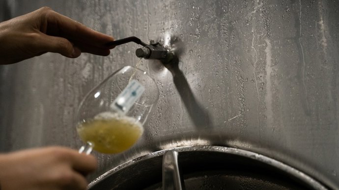 Archivo - La cosecha 2021 de Txakoli de Getaria asciende a 2,7 millones de litros