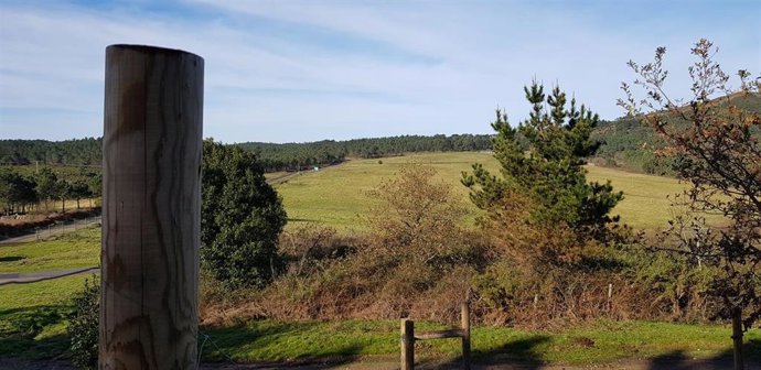 La Xunta ejecuta una zona de pasto de casi 31 hectáreas en Porto do Son (A Coruña) para hacer de cortafuegos