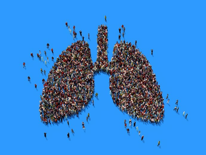 Archivo - Pulmones, pulmón