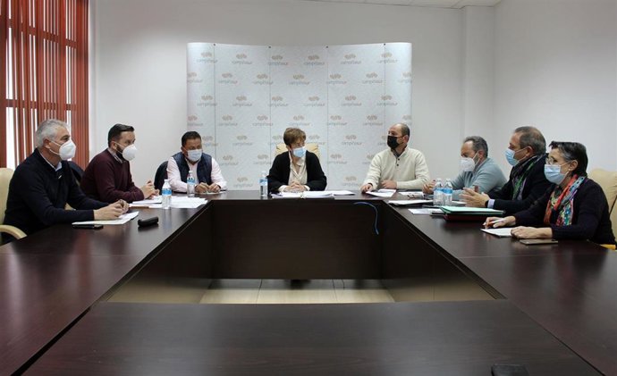 Una reunión de la Mancomunidad Campiña Sur con el sindicato Satse para tratar sobre la demanda de crear un área sanitaria para la comarca.
