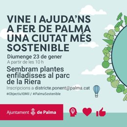 Cartel de la siembra de plantas trepadoras en Palma.