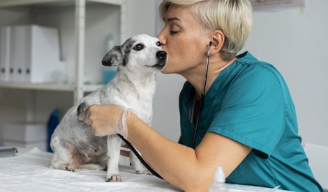 Comunicados Internacional