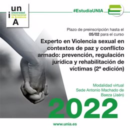 Cartel del curso 'Experto en violencia sexual en contextos de paz y conflicto armado: prevención, regulación jurídica y rehabilitación de víctimas'