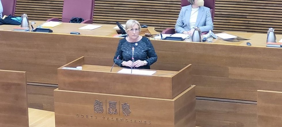 Barceló comparece en las Corts para explicar la evolución de la pandemia