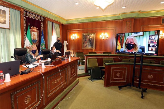 Pleno telemático del Ayuntamiento de Marbella